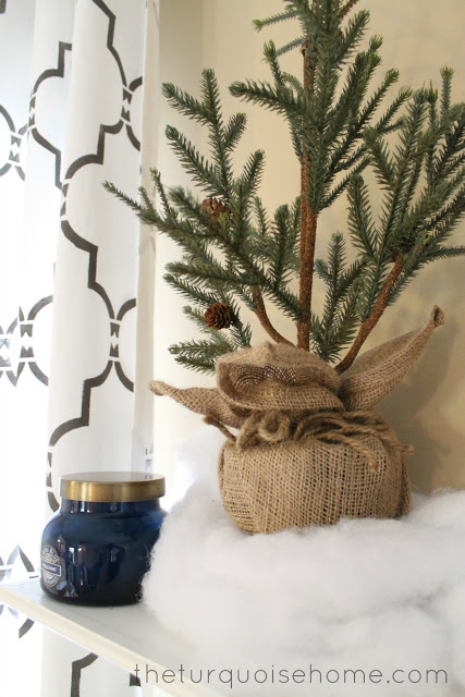 Winter Tree on Winter Mantel