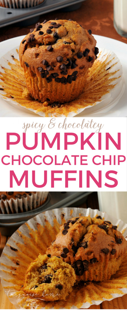 Pumpkin Chocolate Chip Muffins - The Turquoise Home