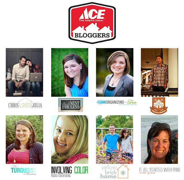 Ace-blogger-panel-pics-logos