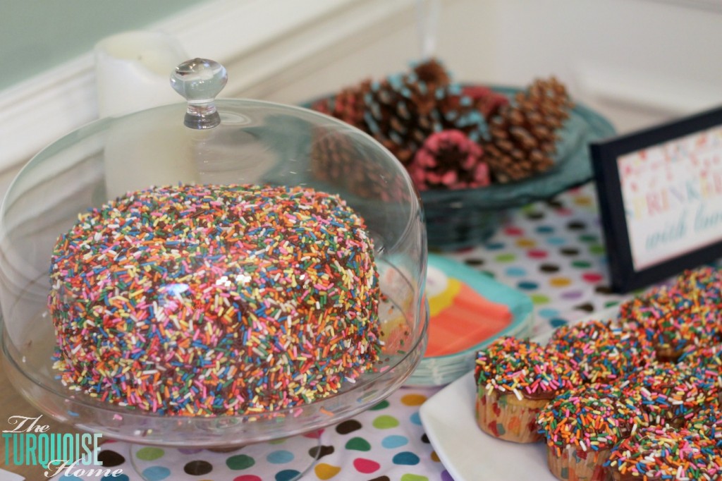 Sprinkle Cake and Cupcakes
