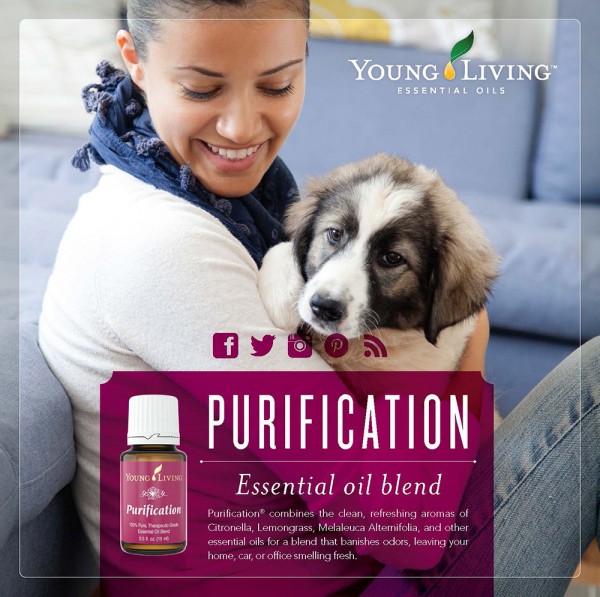 Purification Essential Oil - gets the stink out! | TheTurquoiseHome.com