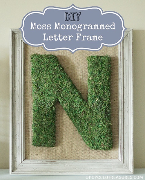 DIY Moss Monogrammed Letter Frame