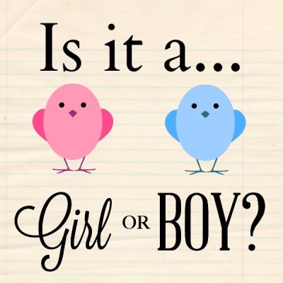 Boy or girl картинка