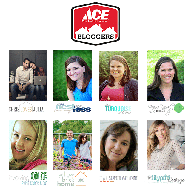 Ace Blogger Panel