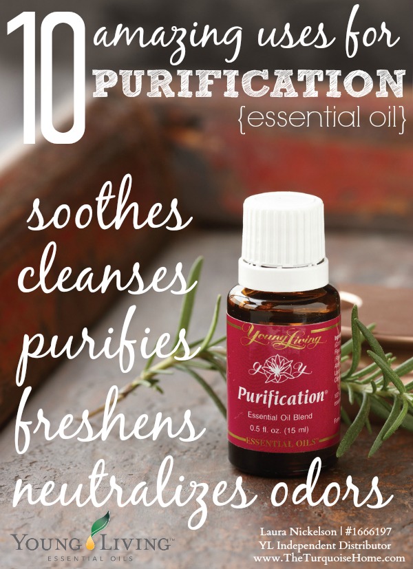 10 Amazing Uses for Purification Essential Oil | TheTurquoiseHome.com