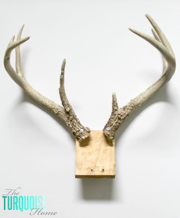 DIY Plush Deer Head | TheTurquoiseHome.com