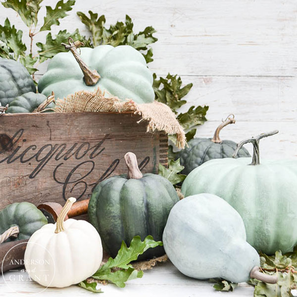 Display of Neutral Pumpkins