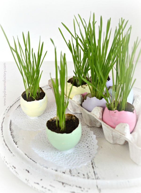 Easter Egg Planters for Wheatgrass