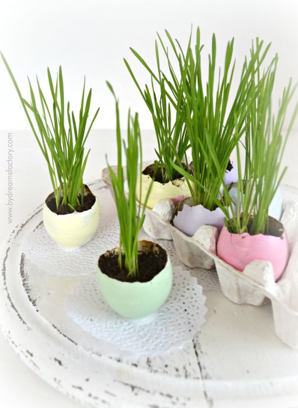 Easter Egg Planters for Wheatgrass.