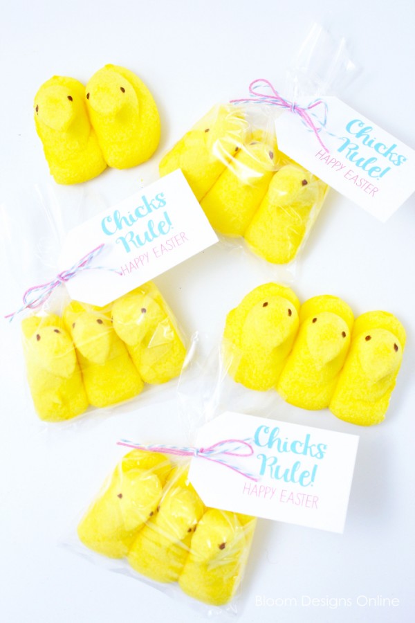 Chicks Rule Easter Egg Tags Free Printable