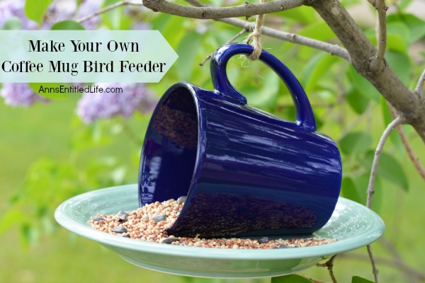 coffee-mug-bird-feeder-horizontal-01