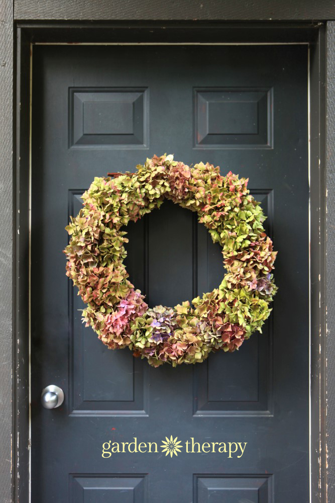 Easy fall hydrangea wreath