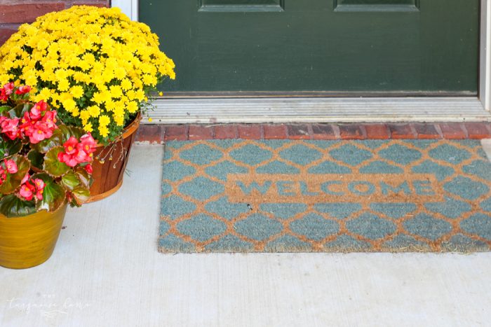 Pretty fall front door with a new DIY wreath!