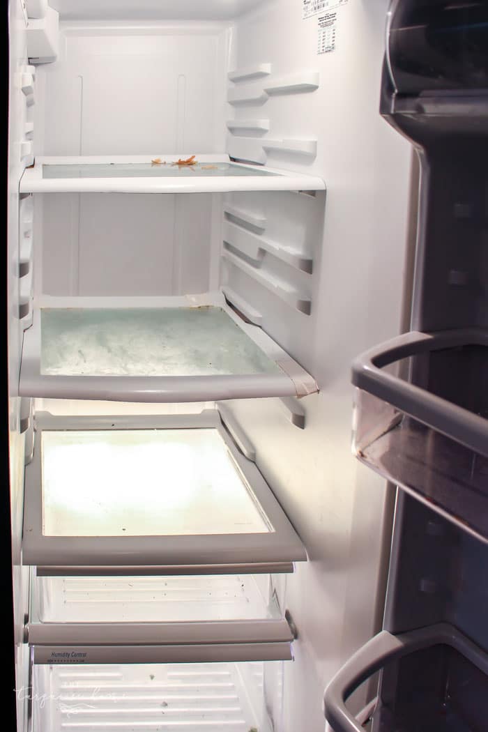 Tips for Refrigerator Organization | 30 Days to Less of a Hot Mess