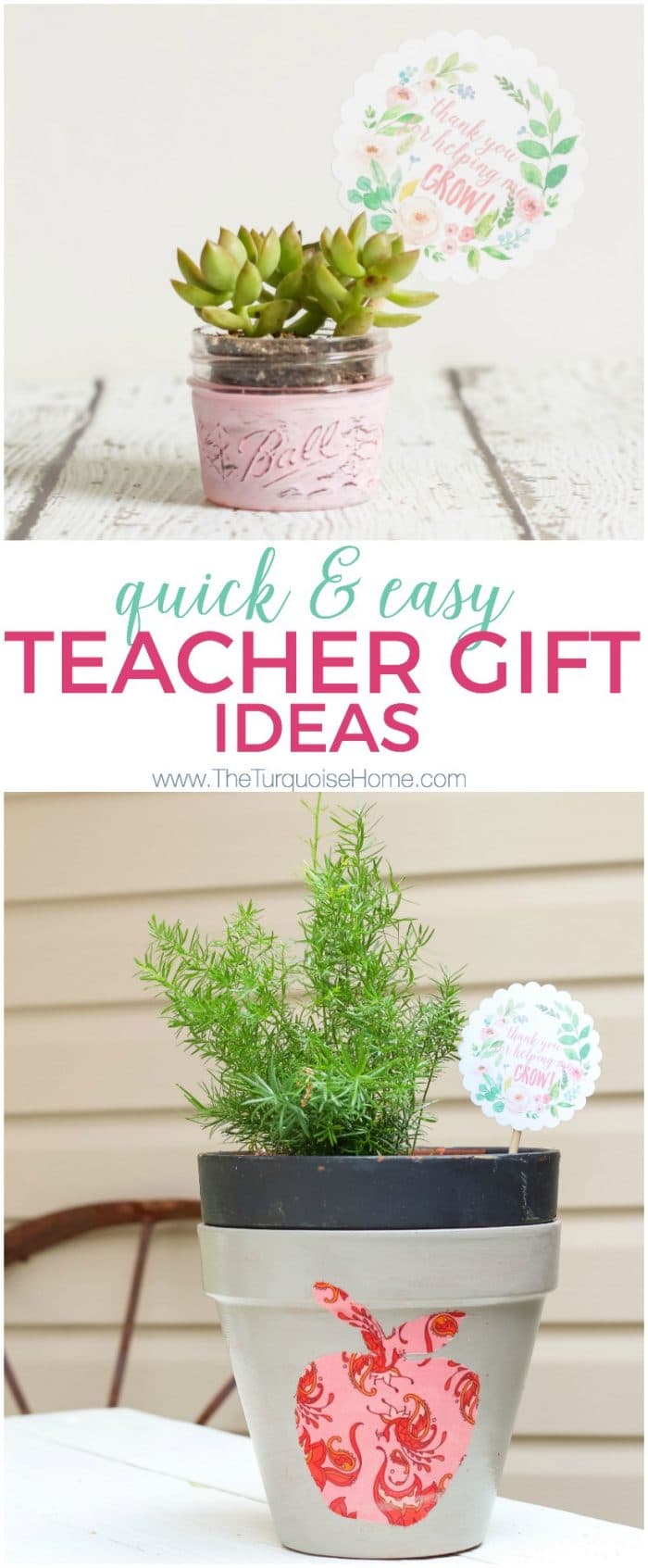 Love this! So simple and easy!! This succulent plant is just one of the teacher gift ideas for Teacher Appreciation and Mother's Day with free printable.