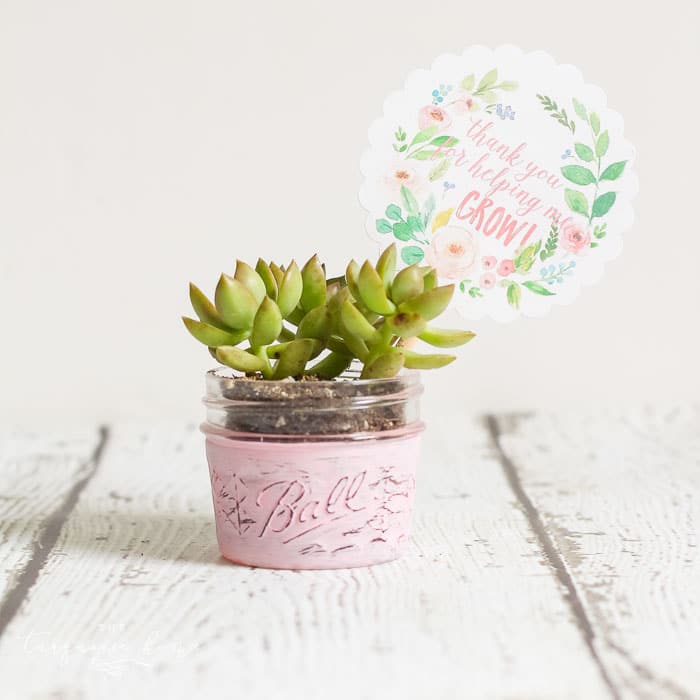 Love this! So simple and easy!! This succulent plant is just one of the teacher gift ideas for Teacher Appreciation and Mother's Day with free printable.