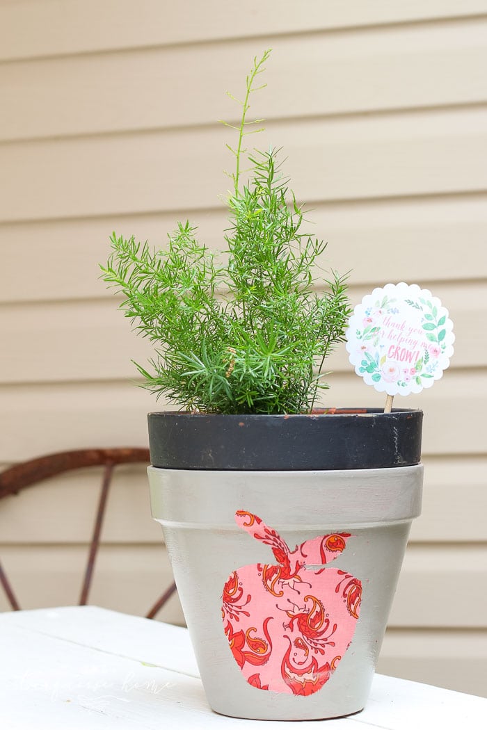 Love this! So simple and easy!! This DIY planter with a silhouette apple is just one of the teacher gift ideas for Teacher Appreciation and Mother's Day with free printable.