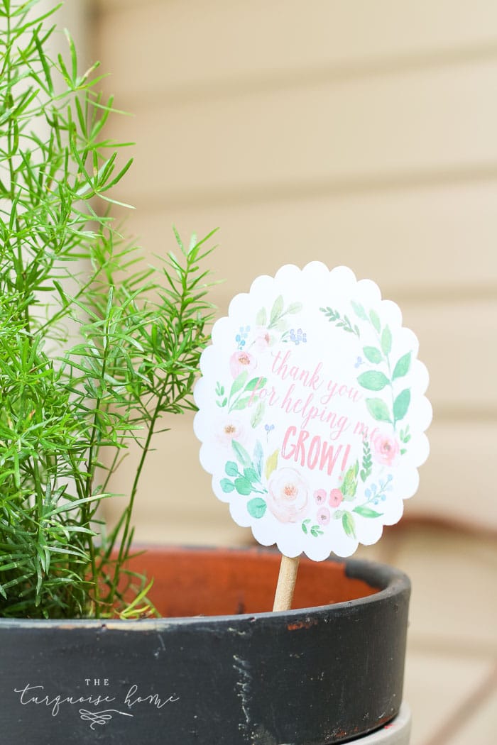 Love this! So simple and easy!! This DIY planter with a silhouette apple is just one of the teacher gift ideas for Teacher Appreciation and Mother's Day with free printable.