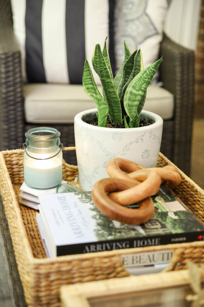 snake plant on a coffee table