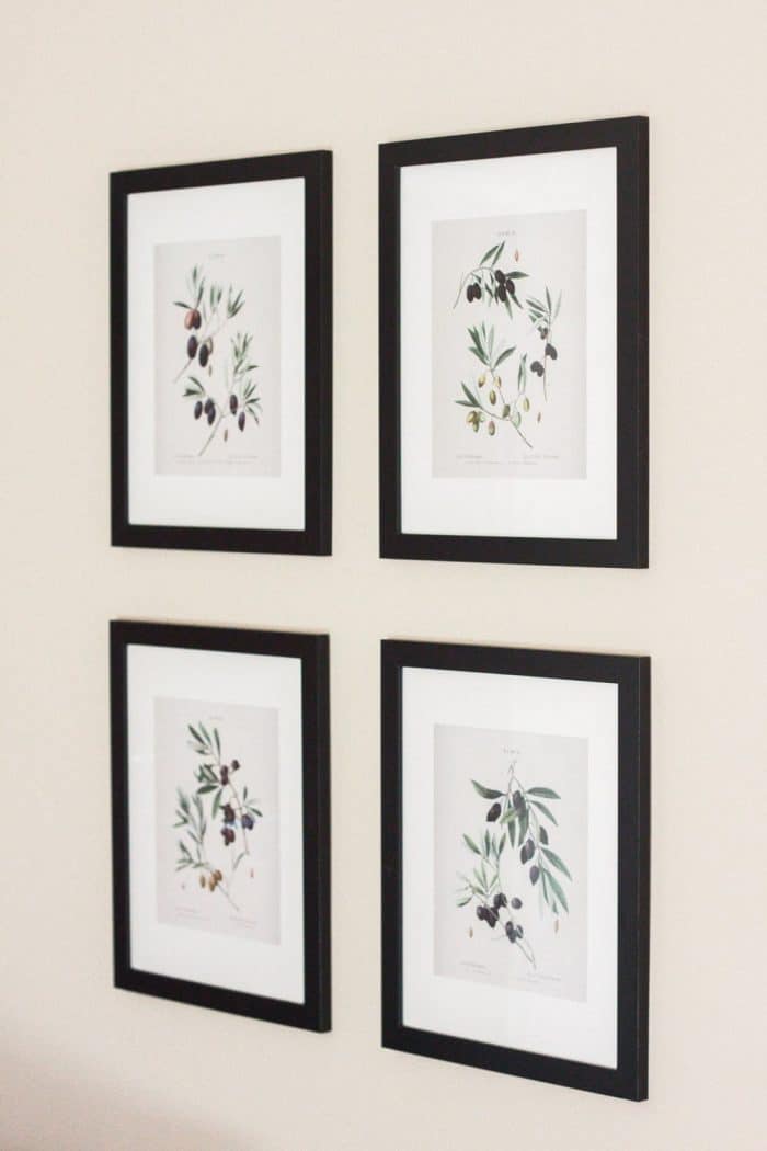 Olive Gallery Botanical Prints