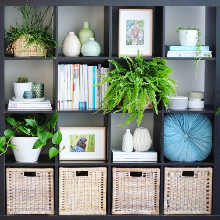 Bookshelf Styling with Greenery