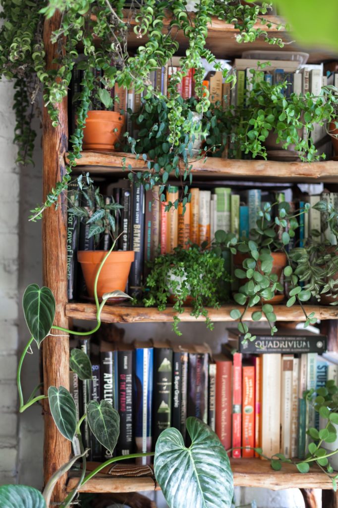 How to Decorate a Bookshelf -->> lots of plants and books!