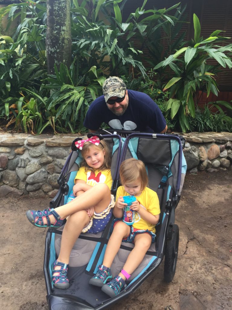 Use Kingdom Strollers when going to Disney with toddlers