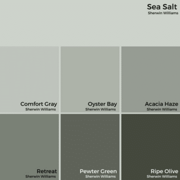 Sherwin Williams Sea Salt (SW 6204) Paint Color Spotlight