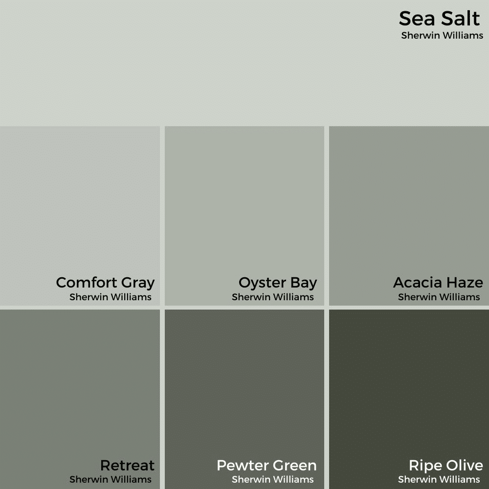 Sherwin Williams Oyster Bay (Palette, Coordinating & Inspirations)