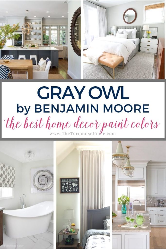 Gray Owl by Benjamin Moore