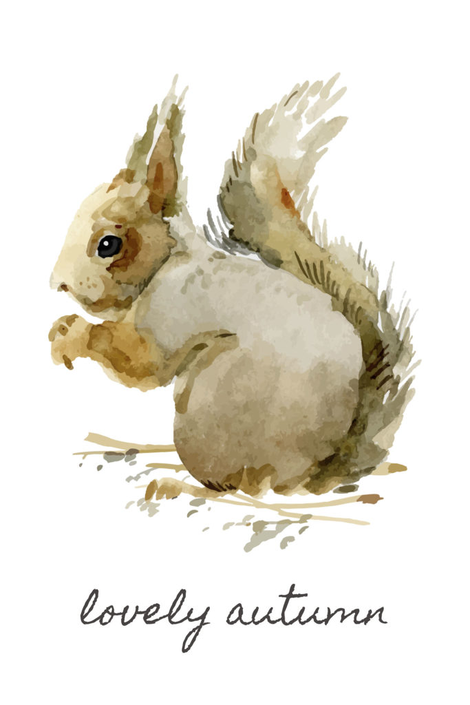 Squirrel Printable | 25+ Free Fall Printables