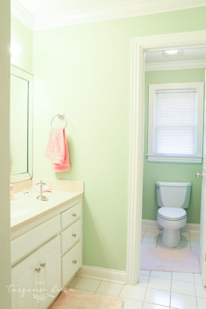 Girls' bathroom in the new house.