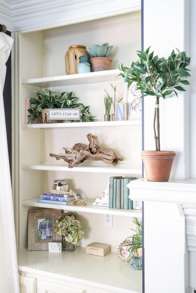 Built-in Bookshelves