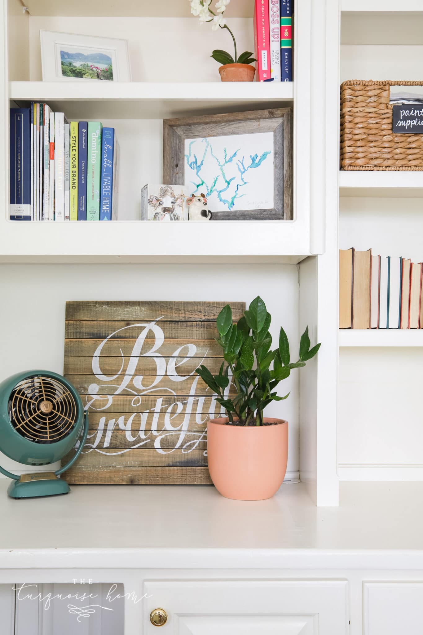 The 3 Easiest House Plants + Indoor Plant Care Tips
