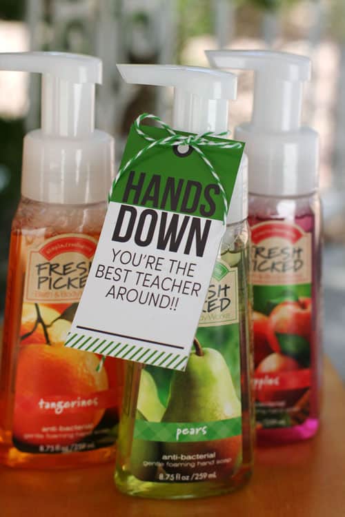 Anti-bacterial hand soap with personalized gift tag makes a great teacher appreciation gift.