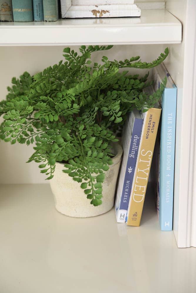 summer bookshelves with a faux fern plant.