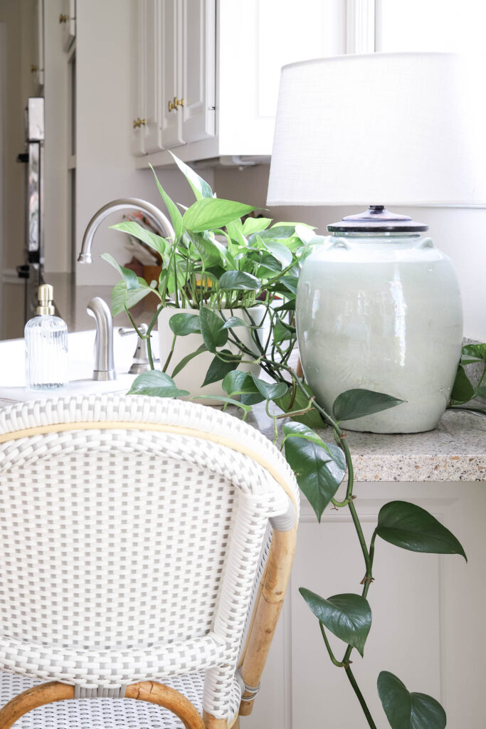 Marble Pothos In the Kitchen