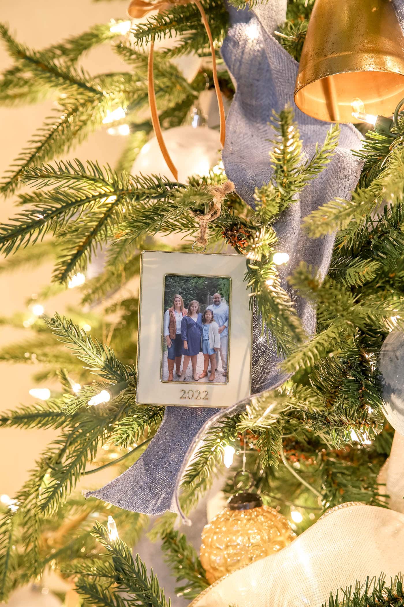 yearly family picture in ornament frame