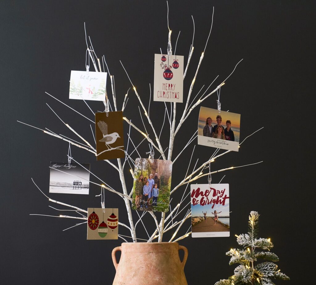Light Up Birch Tree Brand Card Holder