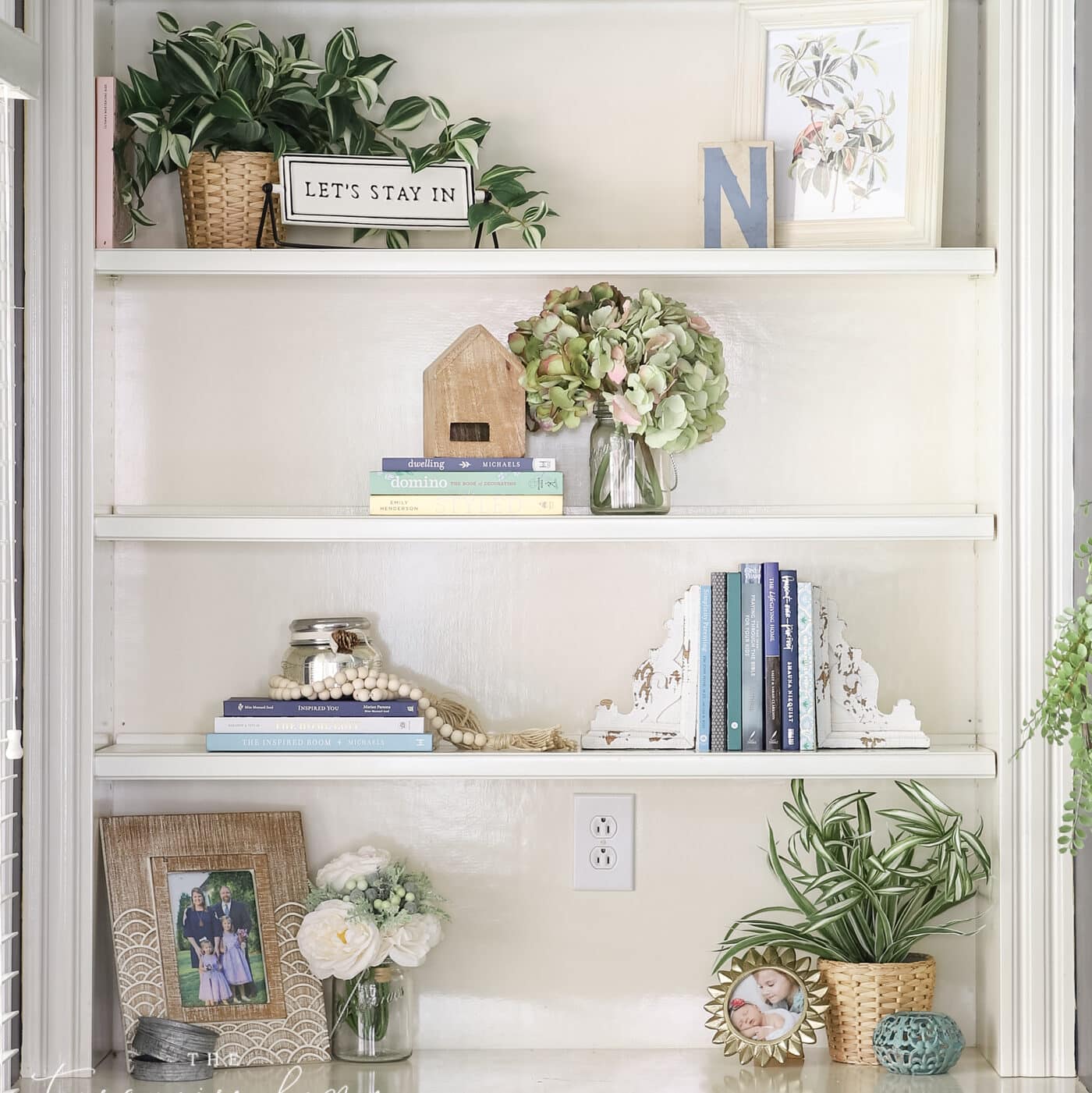 plants on bookshelf