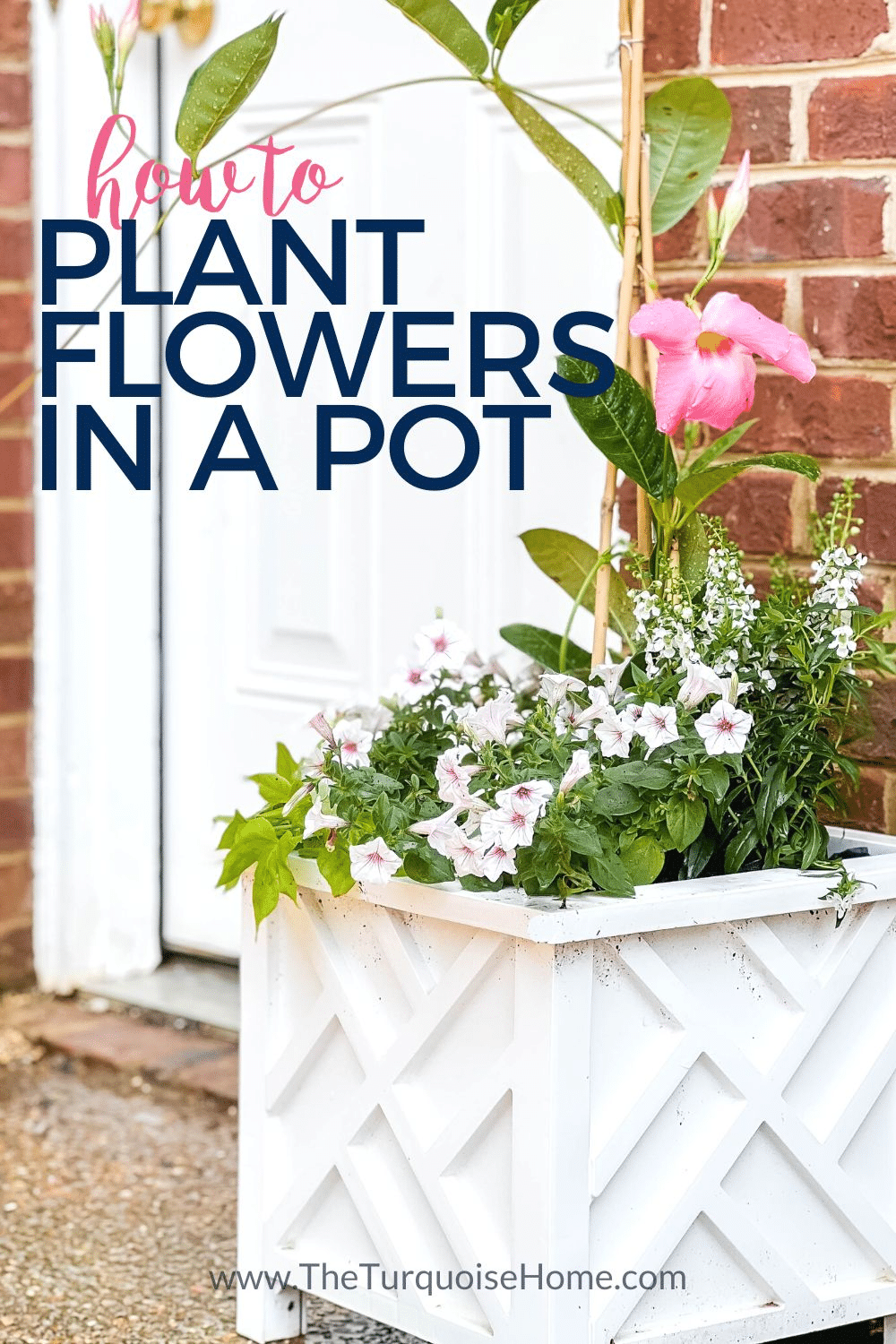 How to Plant Flowers in a Pot