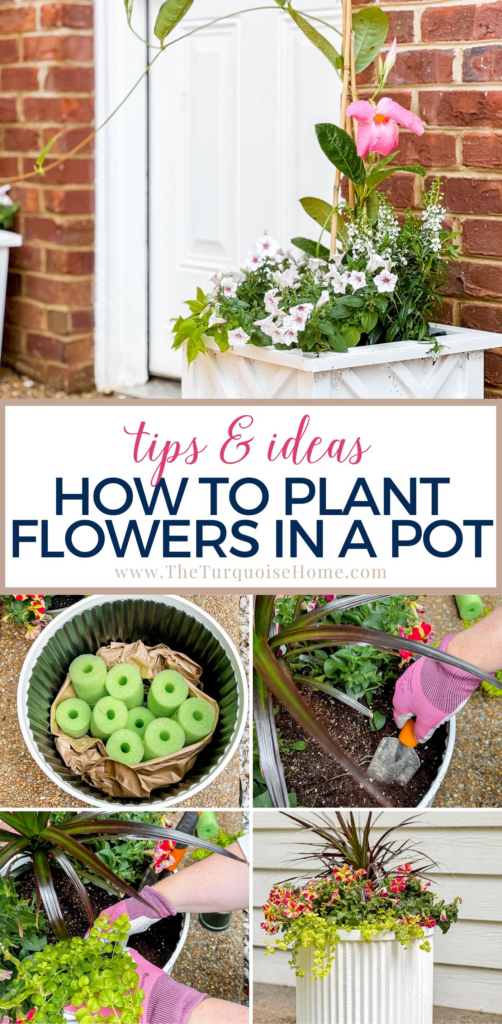 Tips and Ideas for How to Plant Flowers in a Pot