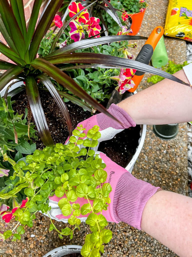 Planting flowers in a pot or container