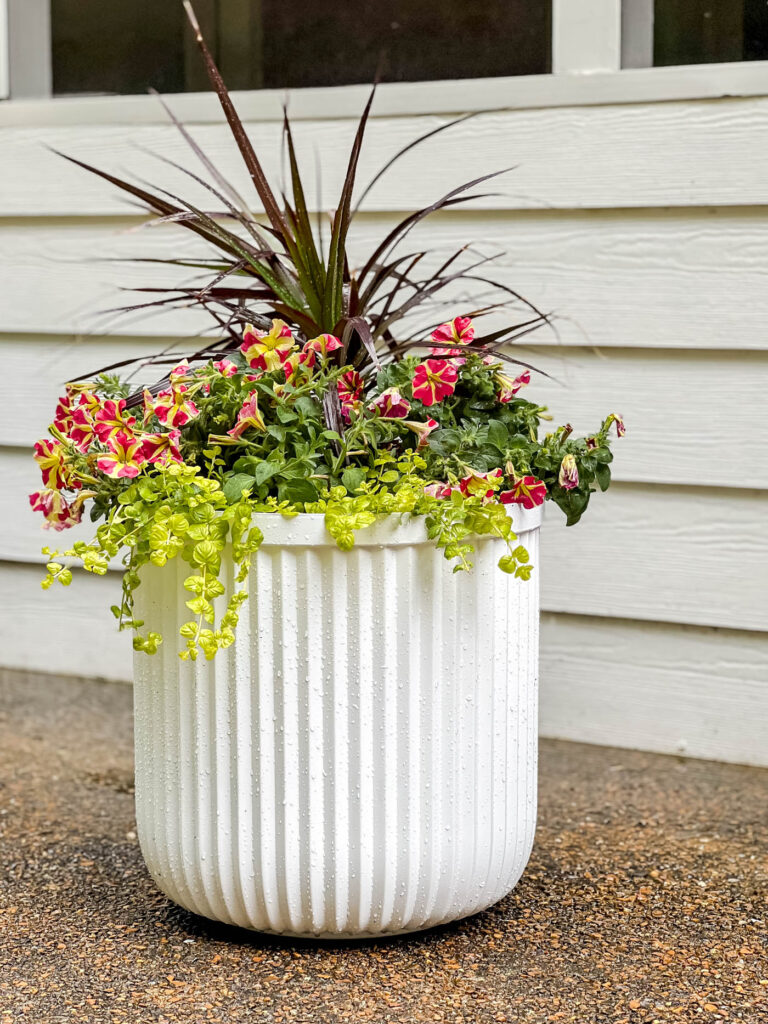 How to Plant Flowers in a Pot, Planter or Container