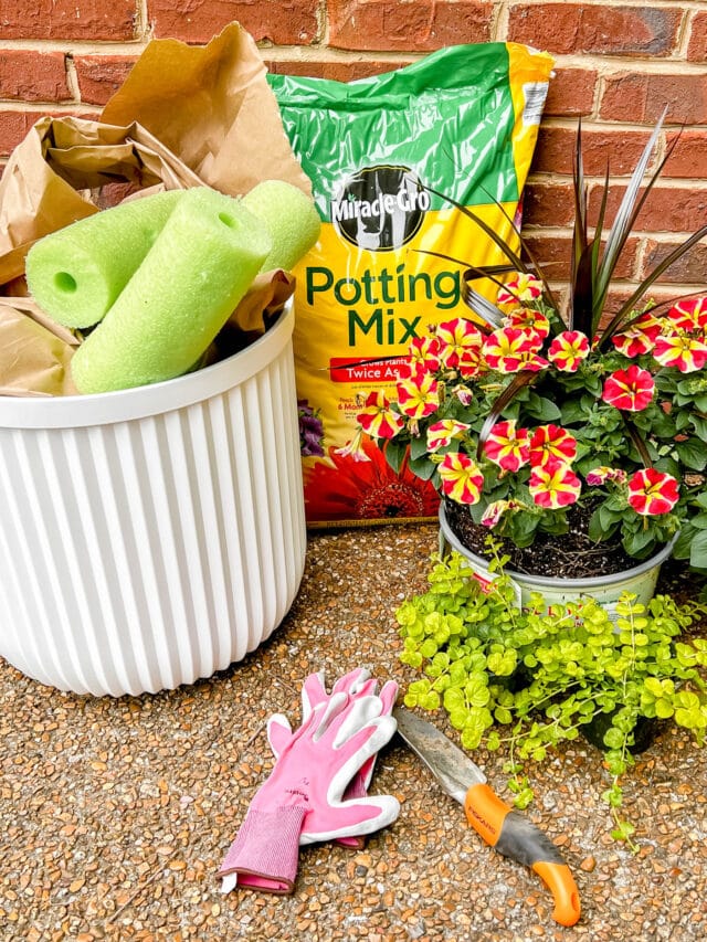 How to Plant Flowers in a Pot, Planter or Container