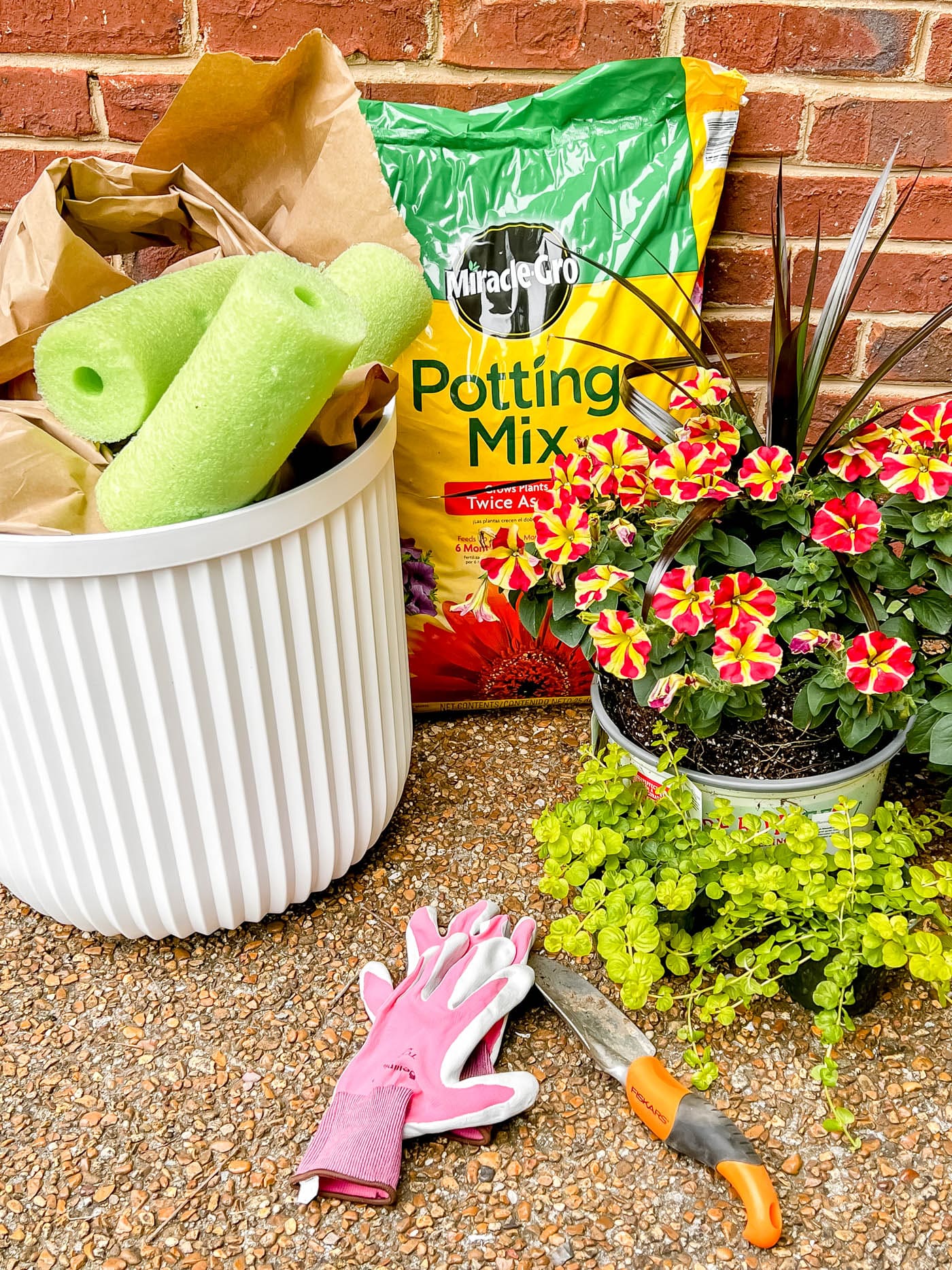 gather materials to plant flowers in a pot