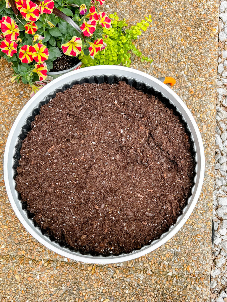 Add soil to pot before planting flowers