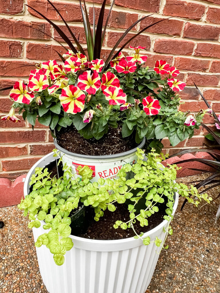 Dry fit flowers in planter