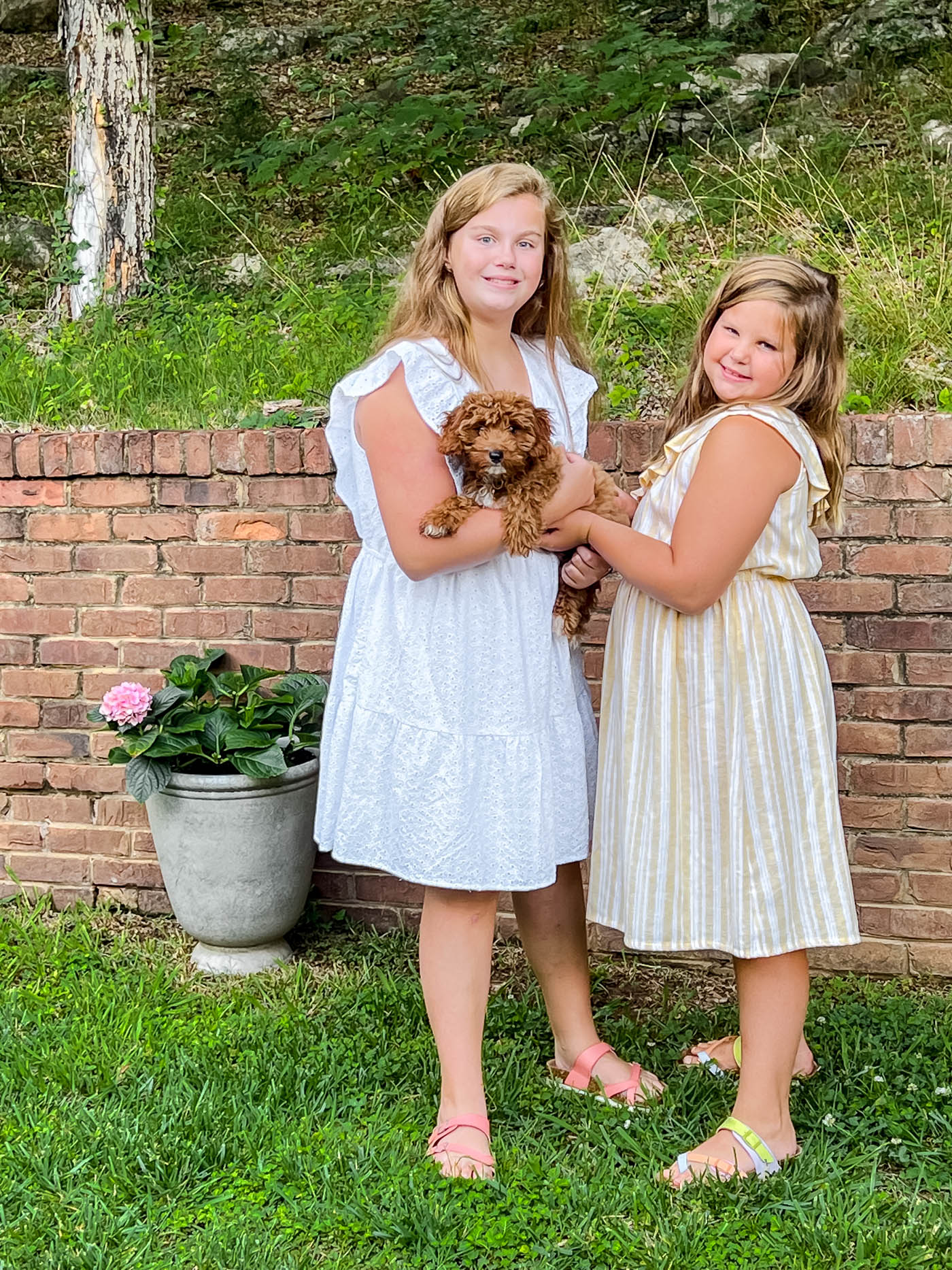 Cavapoo puppy and girls