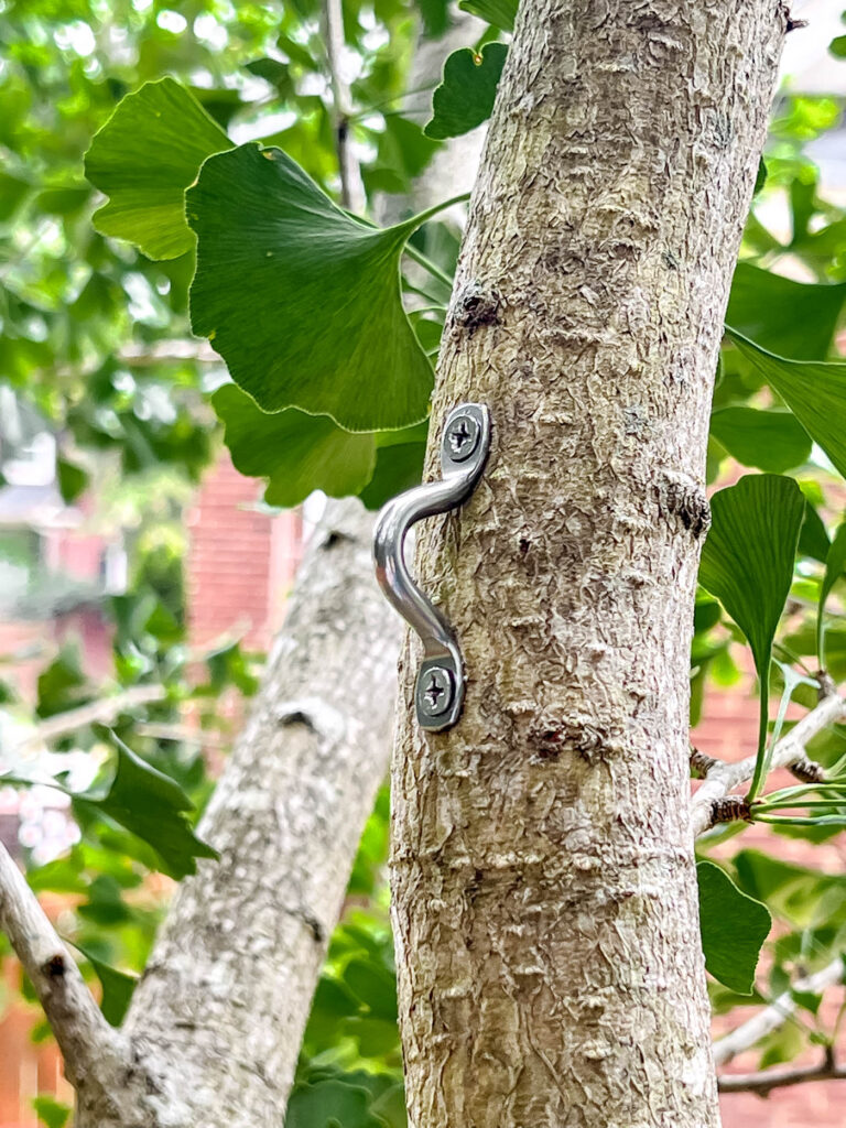 Bracket attached to a tree to hang string lights.
